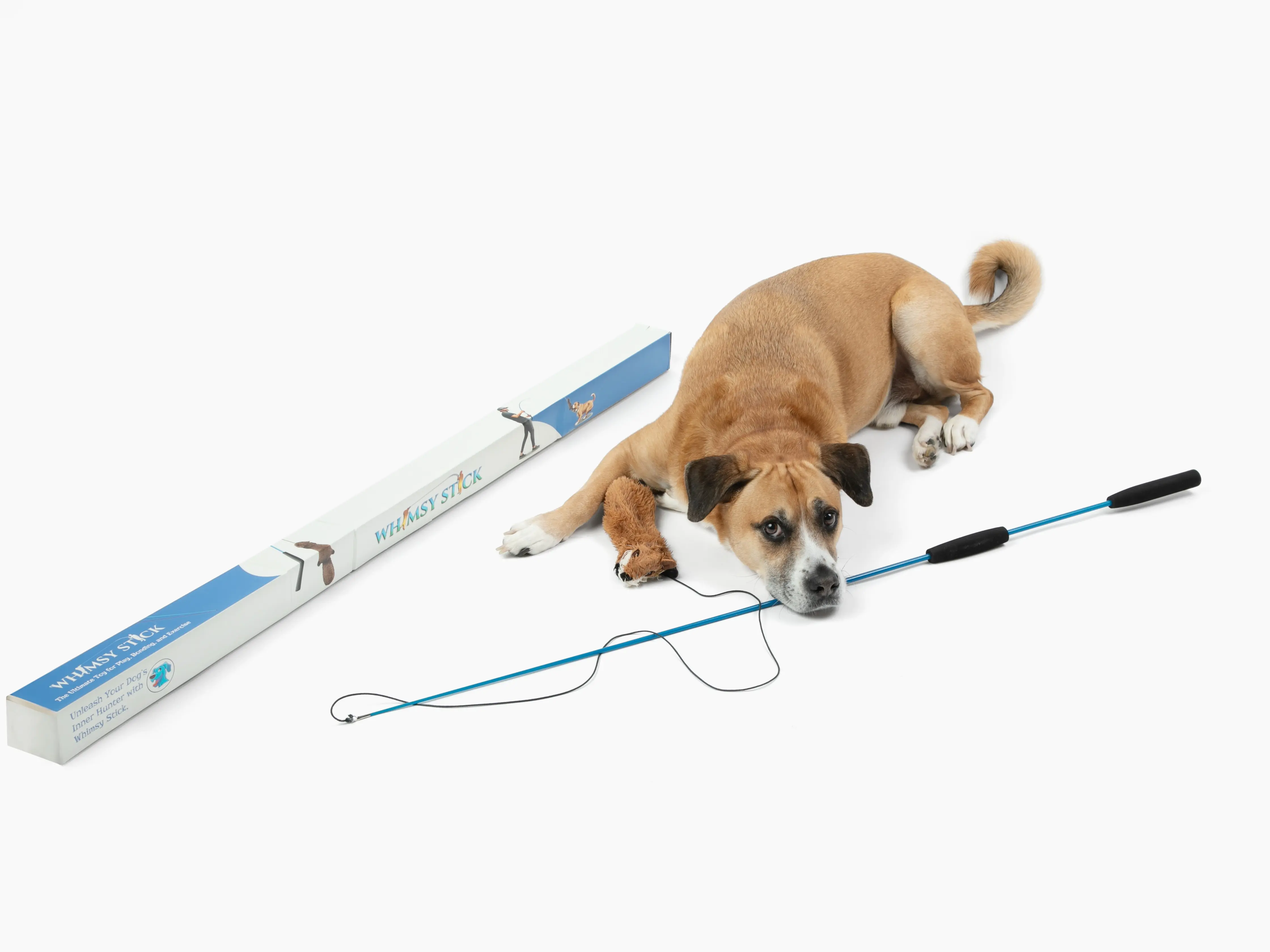 Whimsy Stick Rugged XL Flirt Pole for Dogs (3 Lures)