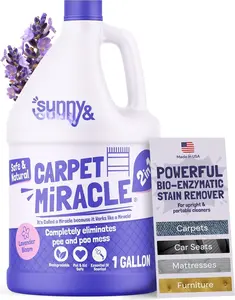 Carpet Cleaner Shampoo - 128 Fl Oz, Light Lavender Scent - Pet Stain Remover  Odor Eliminator - Rug Cleaner  Upholstery Cleaner Solution for Machine Use