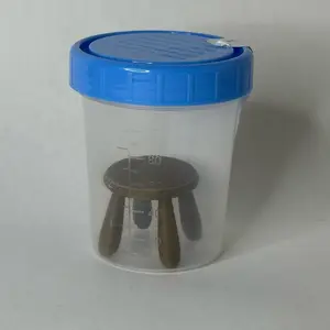 Stool Sample
