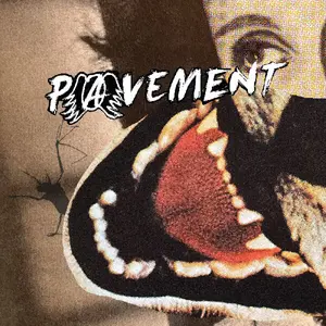 Pavement - Hecklers Choice: Big Gums And Heavy Lifters - A Pavement Collection  [COMPACT DISC - CD]