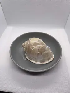 Large Carved Bonnet Shell Design Sealife 3.75 - 4". Opening size : 1"