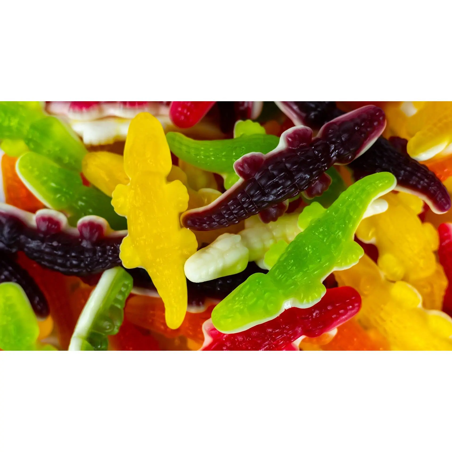 Large Jelly Crocodiles