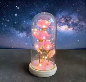 Valentines Rose Gifts for Lady.LED Rose Lantern Birthday Gifts for Women Colorful Galaxy Crystal Light Up Rose Flowers in A Glass Dome Her Valentines.Classic Eternal Romantic Creative Gifts Perfect Surprise Idea (Multicolor)