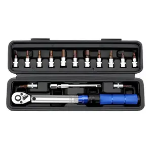 Quick Release High Precision Preset Torque Wrench 1/4" Ratchet with 2-24N·m Adjustable Torque Professional Hand Tools Set