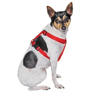 Jeffers Adjustable Nylon Dog Harness with Plastic Buckles - Durable Single-Ply Webbing for Comfort & Safety - Available in Red Black or Blue