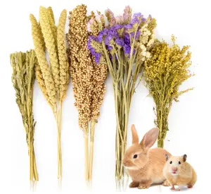 Sukh Natural Hamster Bedding Sprays - Foraging Habitat Decor Cage Accessories, Hideout Enrichment for Dwarf & Syrian Hamsters, Gerbils, Mice and Other Small Animals