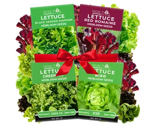 Lettuce Seeds for Planting, Red Romaine Lettuce, Bibb Butter Lettuce, Black Seeded Simpson, Green Ice Iceberg Lettuce, Non-GMO…
