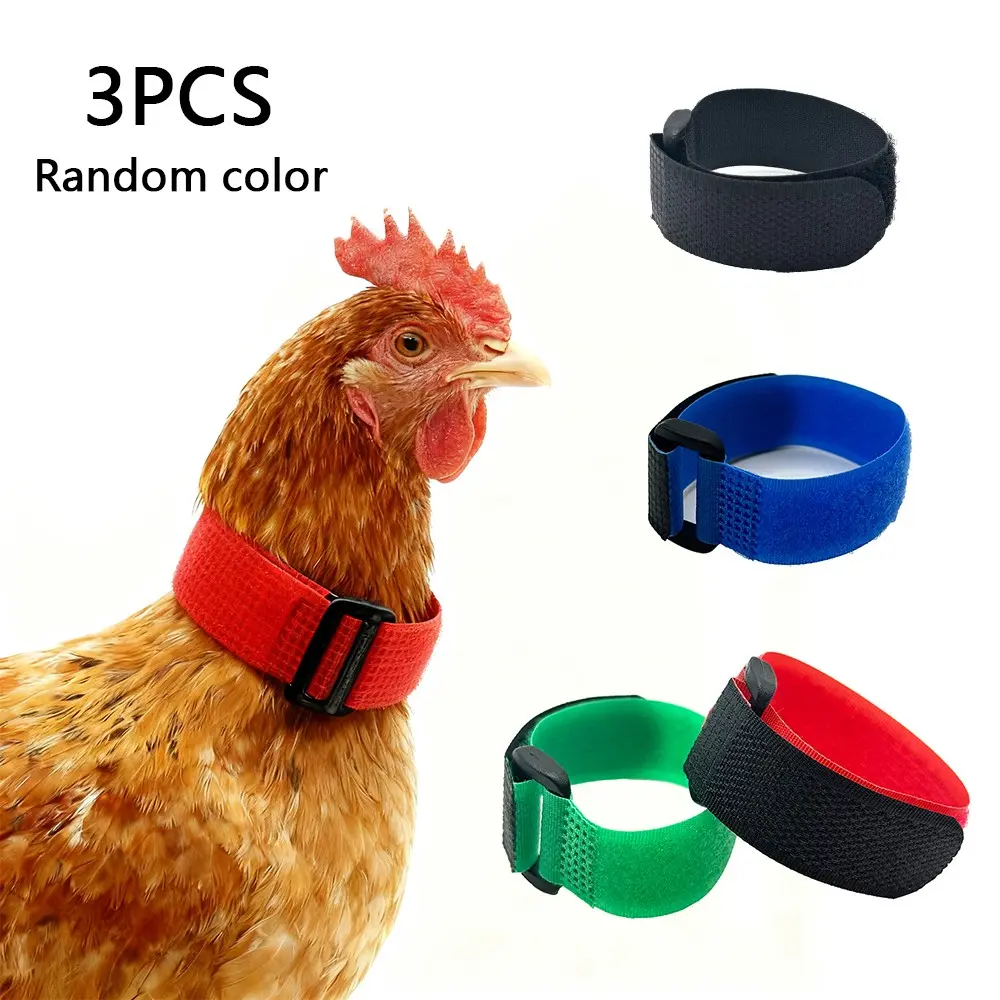 Comfortable Noise-Free Rooster Collar Set, Blue, Durable Adjustable Neck Strap, Quiet Healthy Chickens, Easy Use