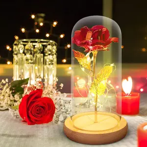 Beauty And The Beast Gifts, Forever Rose In The Glass Dome, Eternal Rose Artificial Flower With Led Light, Beauty And The Beast Rose Gift For Her Women Valentine's Day Mother's Day 	 5,090 295 glass rose