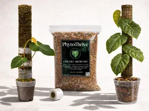 Climber’s Kickstart Kit — 24" Plant Pole + PhytoThrive Aroid Mix + Grafting Tape