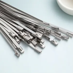 50pcs High-Strength 304 Stainless Steel Straps, Industrial Corrosion-Resistant Metal Binding Set, Heavy-Duty Outdoor Straps, UV-Sealed Clips