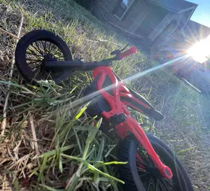 Mini Surron Light Bee X 3D Model and display