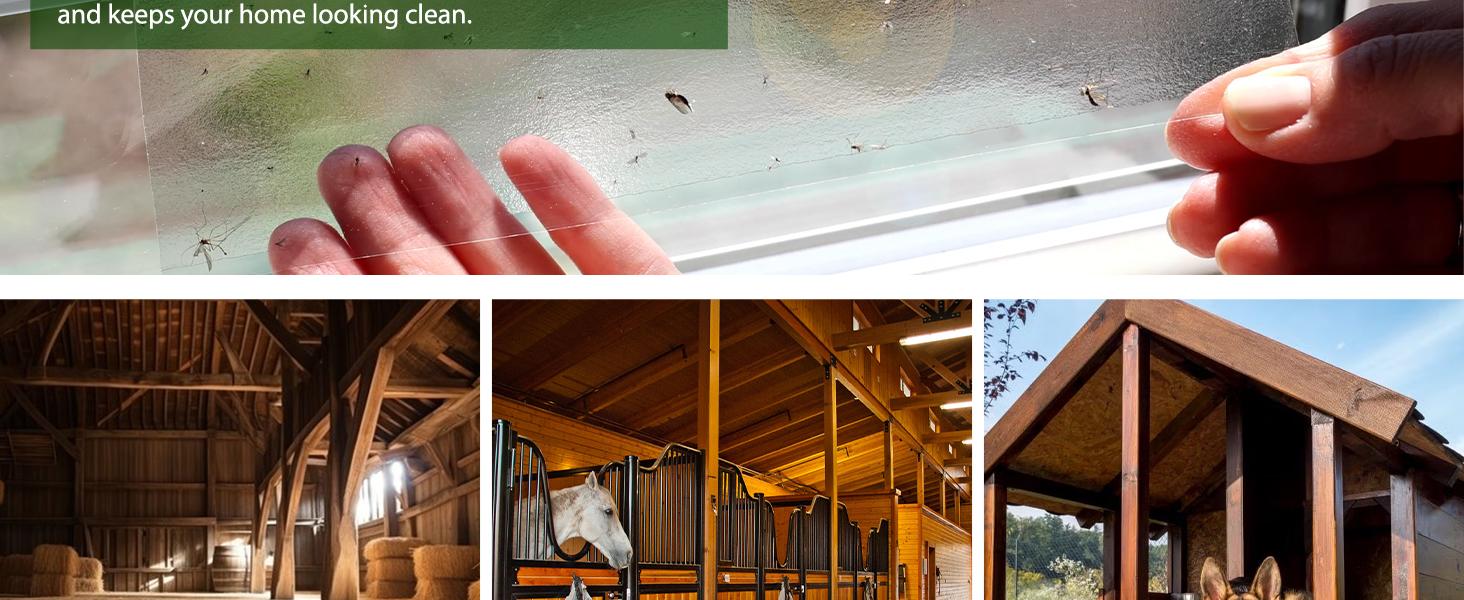 50 Pack Window Fly Trap, Fruit Fly Traps for Indoors, Fly Paper Sticky Strips, Fly Traps for Indoors Clear