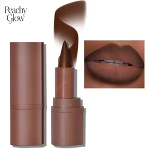 Erinde 2-in-1 Lip Liner and Lipstick Lip Combo Set, Matte Nude Dark Brown Red Lip Liner Creamy Lip Pencil Crayon, High Pigmented Long lasting Lipstick Makeup, 06# Coffee Bean Cosmetics