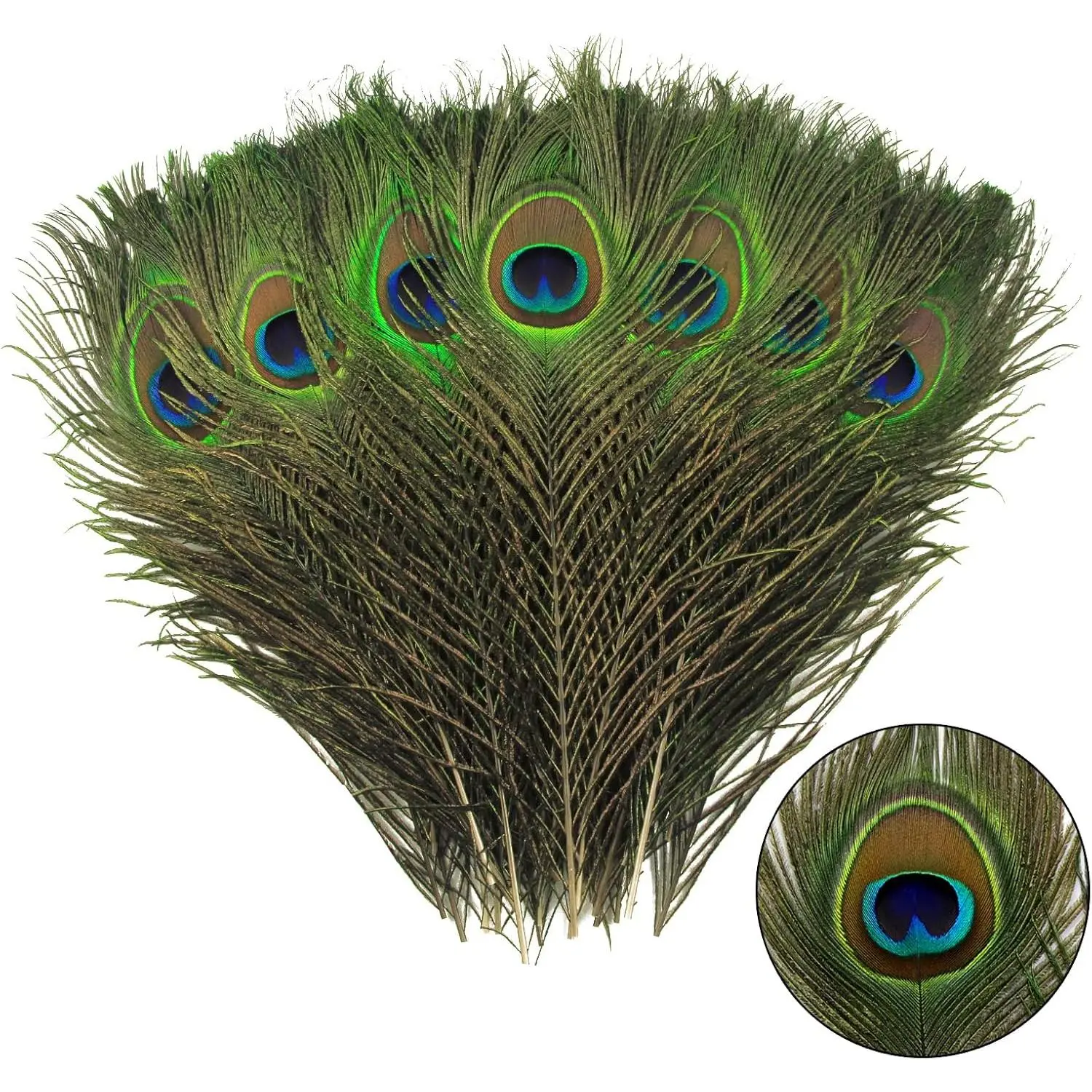 12pcs Sanitized Safe Natural Peacock Feathers (10-12 inch/25-30cm) in Bulk with Box, Luxury Look Home Party Decorations, Party Decor for Craft, Wedding Table Centerpiece