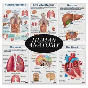 Anatomy Learning Posters - Learning Materials Visual Learning Tools Educational Wall Decor Set with Human Body Diagrams | Classroom Visual Aid & Home Schooling Study Reference Teaching Supplies Classroom Supplies Charts