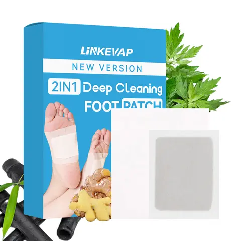 LINKEVAP 24-Pack Boxed Paper Foot Masks (24-Day Pack) - Ginger, Bamboo Charcoal, Herbal Blend Extracts for Deep Cleansing, Fitness, Health, Treatment Solution (Prop 65 Safe Hand & Foot Care)