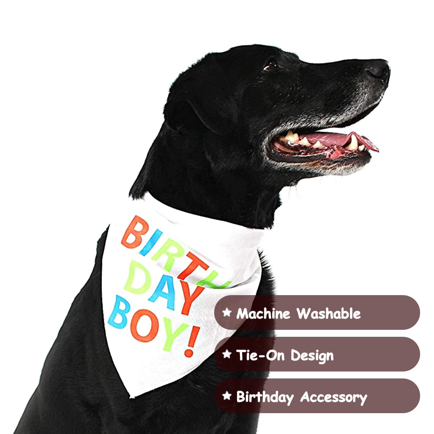Midlee Birthday Boy Dog Bandana Large Adjustable Tie-On Pet Accessory for Dogs Cats Fun Stylish Party Print Fits Up to 20" Neckline