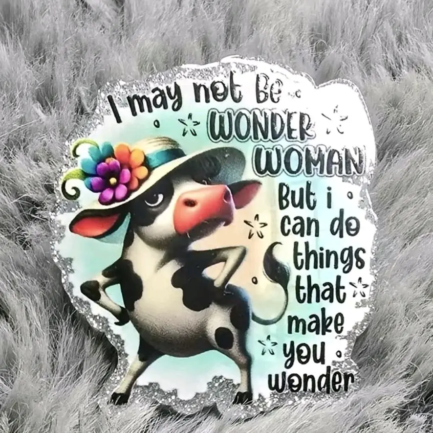 Refrigerator Magnet Clips