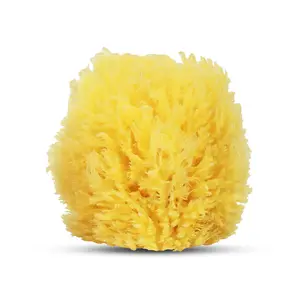 Baby Buddy Natural Baby Bath Sponge 4in Soft Grass Sea Sponge Soft on Tender Baby Skin, Biodegradable
