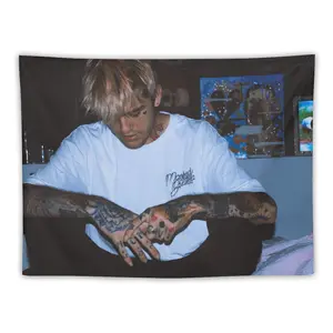 Lil Peep Rapper Hip Hop Music Tapestry Wall Hanging Room Art Home Decoration Gift Bedroom Decor Living Room Door Curtain Balcony 30"x40" Photo Print