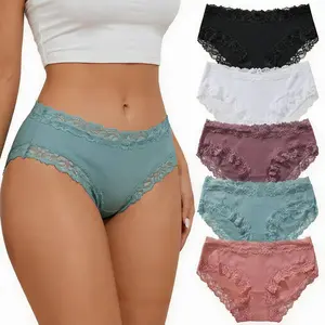 SNUG HAVEN Women's 5-Pack Cotton Underwear Briefs, Minimalist Breathable Lace Hipster Panties, Sexy Everyday Underwear for S-XXL Sizes