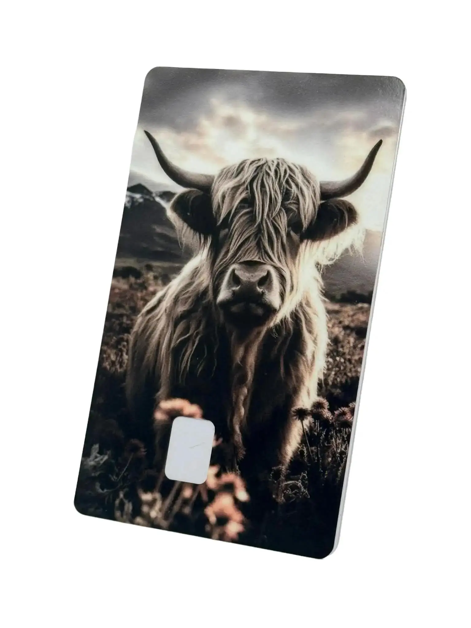 Highland Cow Custom Decal Stickers - Reusable Rustic Farmhouse Country Design, Quick Shipping, Standard Card Sizes, for Office Stationery Decorative Wrap