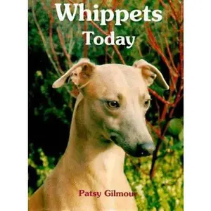 USED-Whippets Today by Patsy Gilmour (Hardcover)