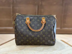 Pre-owned Louis Vuitton canvas Tote Bags lv speedy handle bag 30