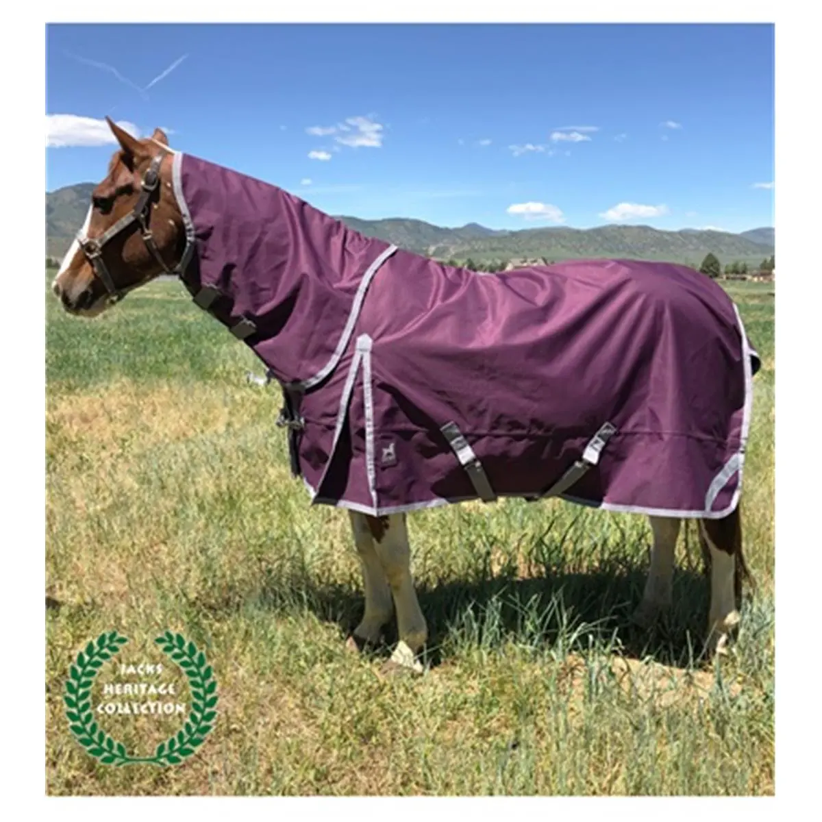 Jacks Boreas Waterproof Horse Turnout Blanket, 1200D Polyester Equestrian Horsewear with 260g Fleece Lining, Detachable Neck and Shoulder Gussets, Purple - 82 in