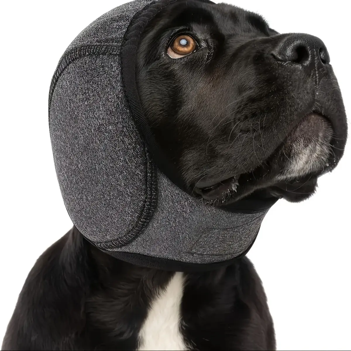 Professional Dog Ear Muffs, Noise-Canceling for Swimming, Thunderstorms & Vet Visits, Breathable Memory Foam, for Puppy to Adult Dogs, Anxiety Relief & Secure Fit