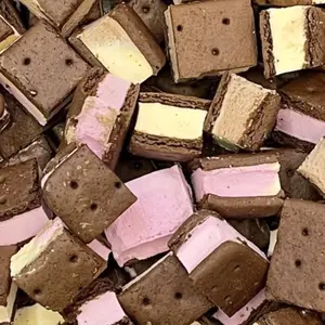 Neapolitan Ice Cream Sandwiches (Freeze Dried), 3.3 oz. Dessert, Chocolate, Strawberry, Vanilla Snack