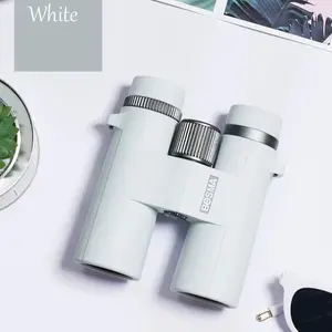 Professional-grade binoculars for day and night use