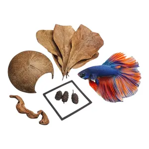 Betta Bundle w/ Coconut Cave, Driftwood, Floating Feeding Ring and Botanicals