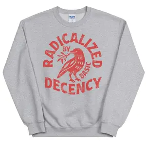 Women's Long Sleeve Fitted Round Neck Radicalized By Basic Decency Sweatshirt - Activist Social Justice Graphic Pullover, Humanitarian Empathy Human Rights Tops, Casual Women's Clothes Hoodie