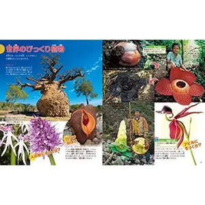 USED-Shokubutsu by Makoto Amano (Tankobon Hardcover)