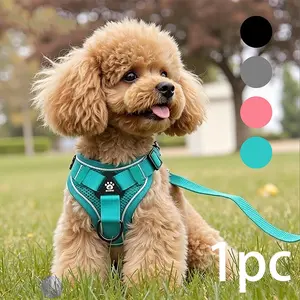 Adjustable Dog Harness Set, No Tangle Leash, Breathable Mesh Reflective Anti-Pull Pet Vest for Small Medium Large Dogs, Outdoor Walking Night Safety