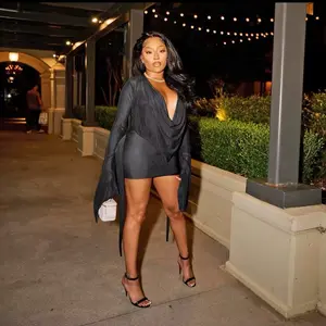 Women’s Sheer Mesh Deep V Mini Dress With Draped Front & Long Sleeve Cover-Up – Beachwear / Night Out