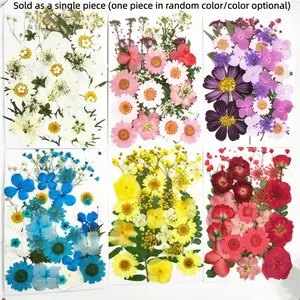 New Fake Dried Flower Embossing Material Kit, Kids Handmade DIY Plant Specimen, Frame Decoration, Valentine's Day Gift