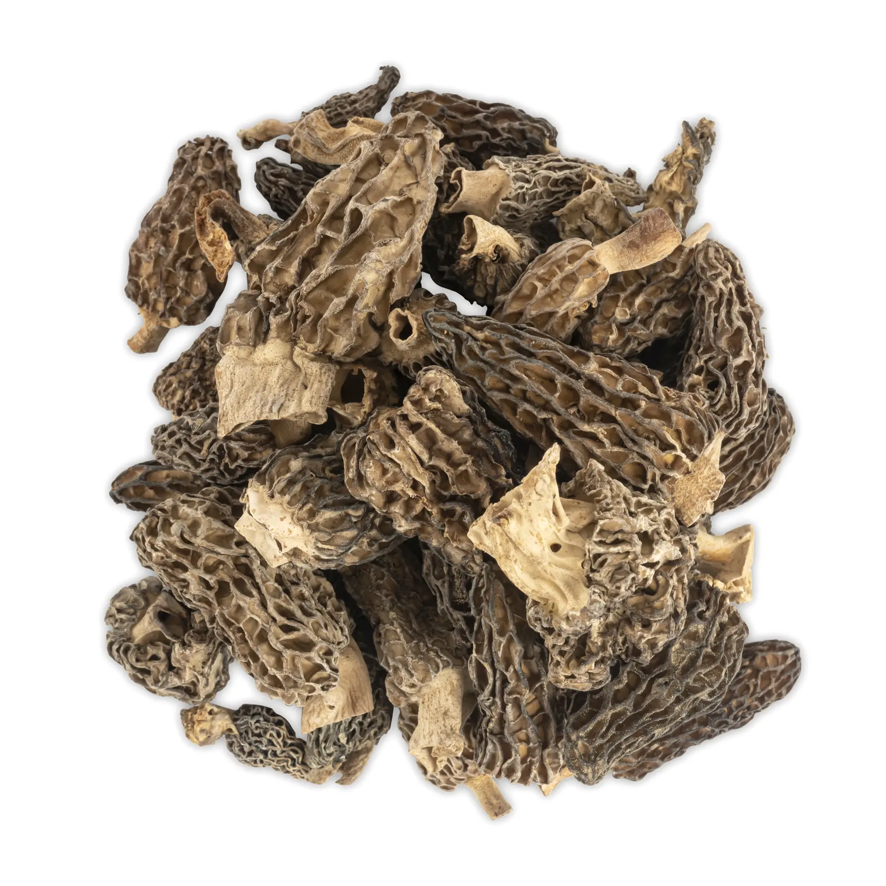 Slofoodgroup Dried Morel Mushrooms Slofoodgroup Dried Morel Mushrooms