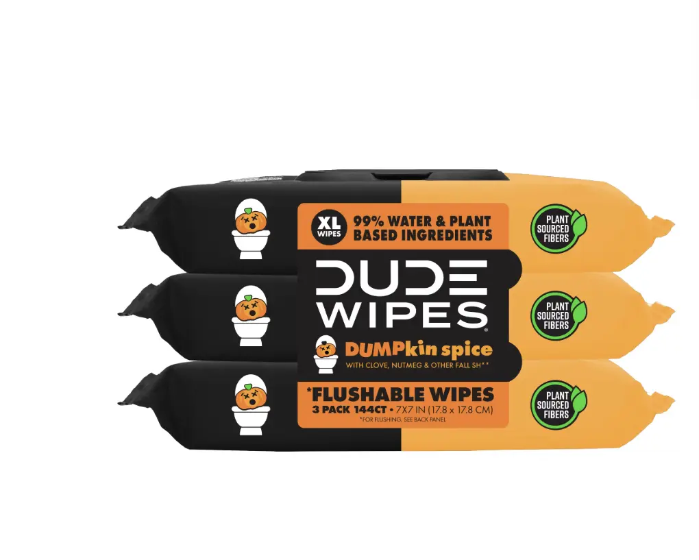 DUDE Limited Edition DUMPkin Spice, Extra Large Fall Scented Flushable Wet Wipes, 48 Count, 3 Pack (144 Total)