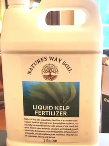 Nature’s Way Soil® Liquid Kelp Fertilizer –1/2.5 Gallon/Organic Seaweed Plant Food for Lawn, Garden, Flowers & Vegetables | Cold-Processed | Natural Growth Booster & Soil Revitalizer