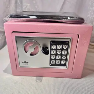 Small Pink Steel Personal-Safe Safe for Home Decor, 0.23 Cu Ft, Electronic Keypad & Key Lock Access, 9.1" W x 6.7" D x 6.7" H (Computers & Office Equipment, Office Stationery & Supplies)