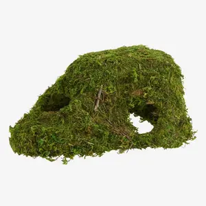 Premium Reptile Humid Hide, Reptile & Amphibian Terrarium Hideout Accessory