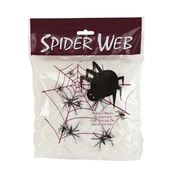 White Spider Web Decoration
