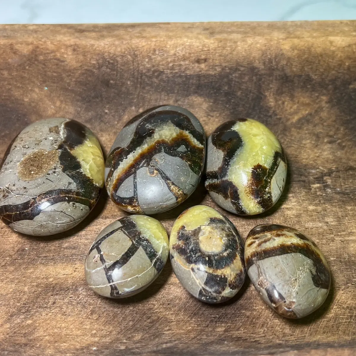 Septarian Palm Crystals