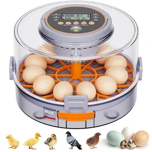 Smart Egg Incubator for Chicken Duck & Quail Eggs, Auto Turning & Humidity Control, Easy Hatch Success for Beginners & Families Automatic Chicken and Quail Egg Incubator manual mode