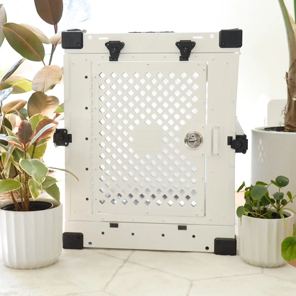 Collapsible Dog Crate Collapsible Dog Crate