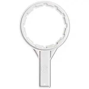 Hayward Dome Tool | S200KT