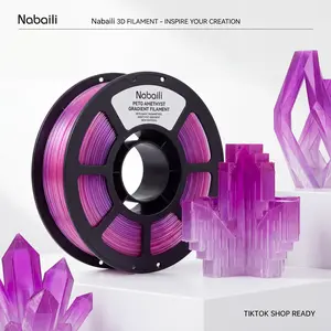 Nabaili PETG 3D Filament 1KG Bambu AMS Friendly Premium 3D Printing Filament for Creative Projects Purple Gradient 1.75mm TIKTOK SHOP READY